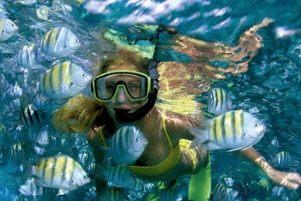 plongée en apnée avec des poissons colorés