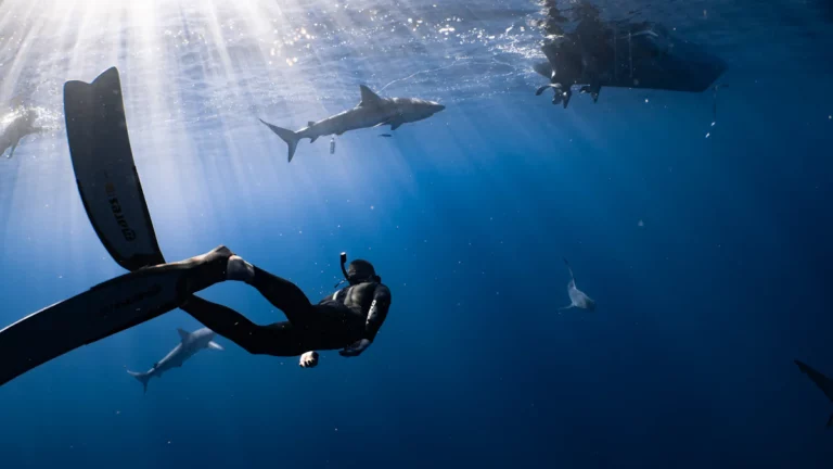 The A-Z of Scuba Equipment Manufacturers