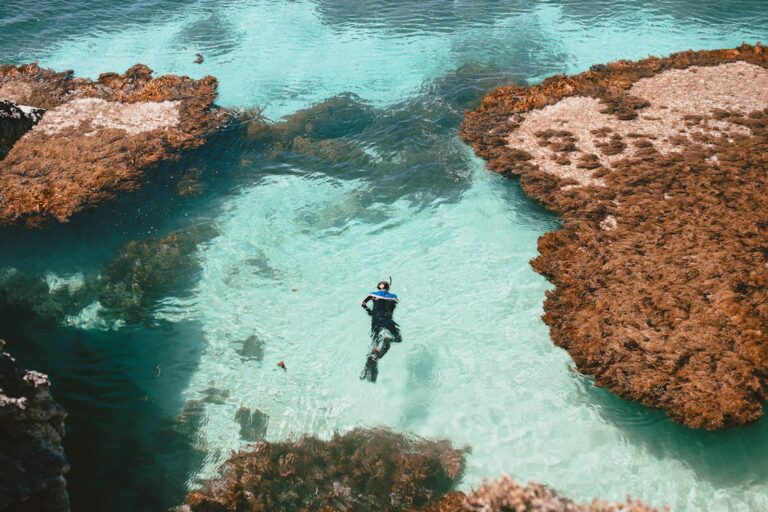 best-caption-for-scuba-diving