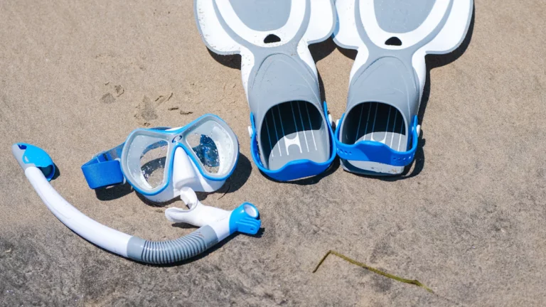 Snorkel Fins: Everything You Need to Know Before Buying