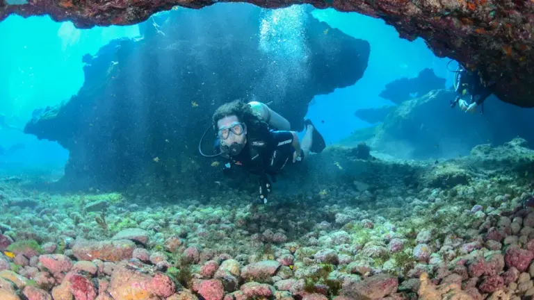 Top 10 Best Scuba Diving Masks for Every Diver in 2025
