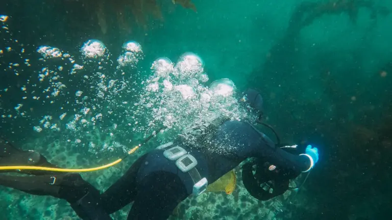 Why Are Full Face Snorkel Masks Dangerous? 4 Hidden Risks Explained