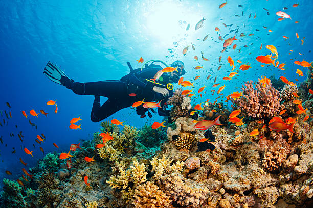 Underwater scene with young women, scuba diver