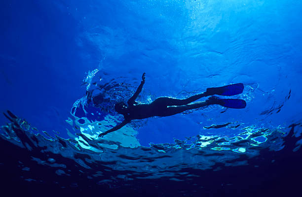 a free diver in the sea