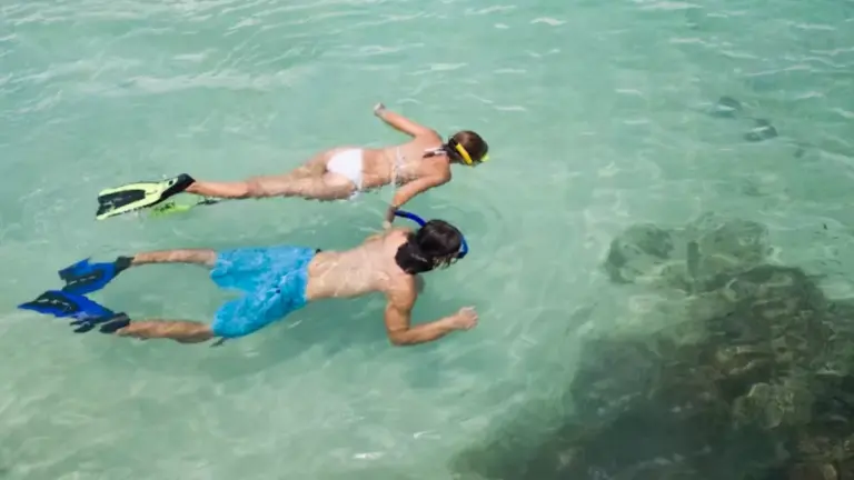 From Pool to Depth: A Look at the Different Types of Free Diving