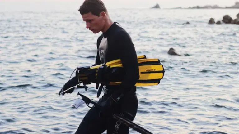 What Is the Difference Between Freediving Fins, Scuba Fins, and Snorkeling Fins?