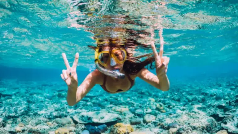 5 Best Free Diving Masks for an Unforgettable Dive