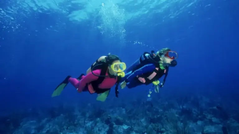 Top 10 Best Diving Equipment Brands for 2026