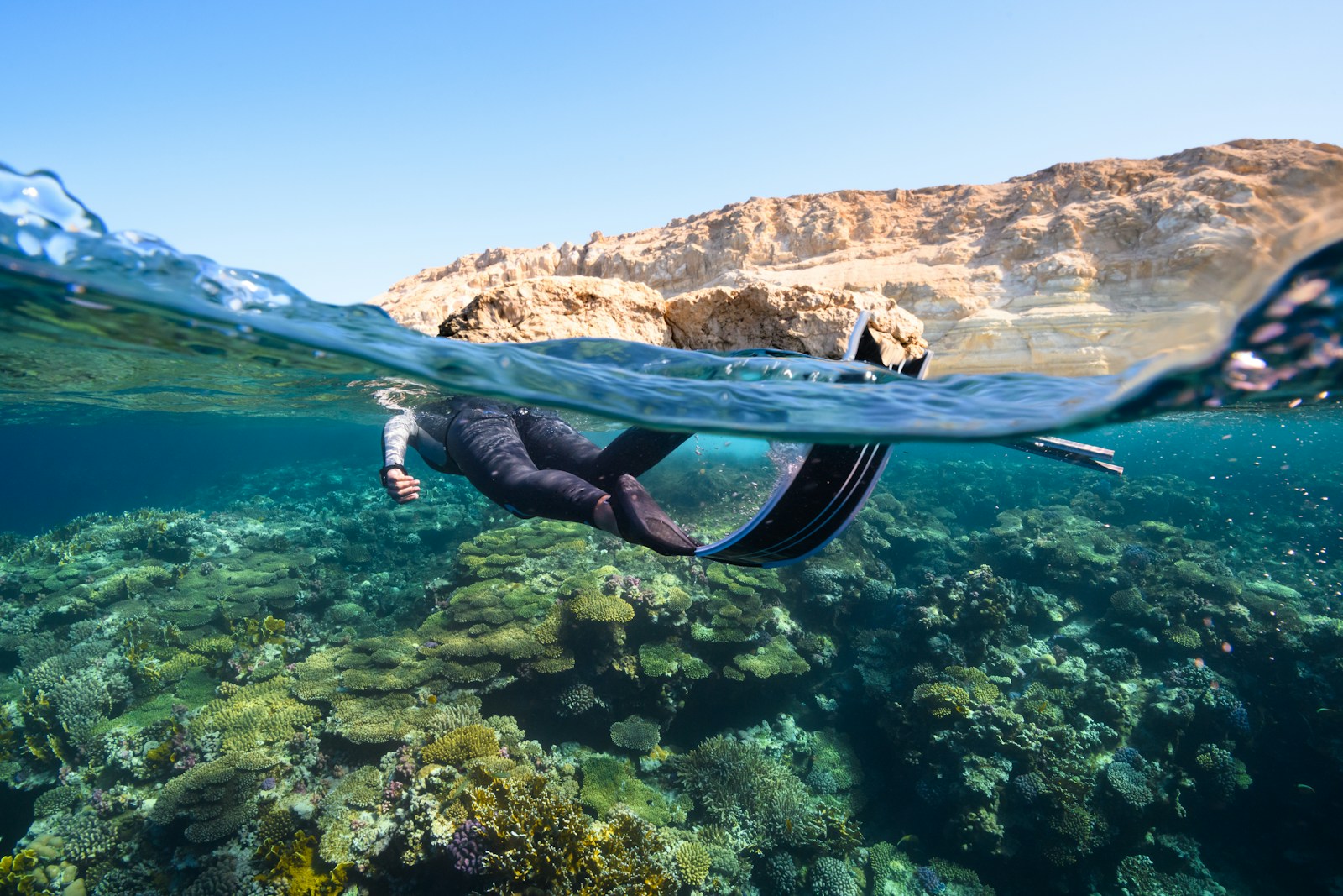 a person in a wet suit swimming in the ocean